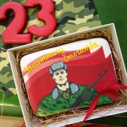 Набор "Защитник"